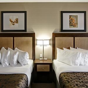 Queen Room Two Queen Beds